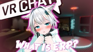 The Unspoken World of ERP  A VRChat Documentary [upl. by Gabi]