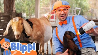 Blippi Visits a Baby Animal Farm  Learn About Animals  Animal Videos for Kids [upl. by Wiltsey]