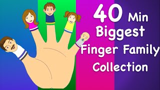 Finger Family Collection  NonStop 40 Minutes  Biggest Collection of Finger Family For Children [upl. by Clynes]