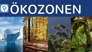 Ökozonen  Klimazonen amp Vegetationszonen einfach erklärt  Überblick Geografische Landschaftszonen [upl. by Aehsel]