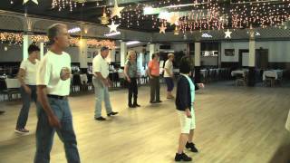 Linedance lesson Stroll Along Cha Cha choreo rodeo cowboys [upl. by Stalker515]