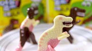 얼려먹는 초코얼초🍫공룡만들기🦖  Dinosaurshaped chocolate making set [upl. by Cadel]