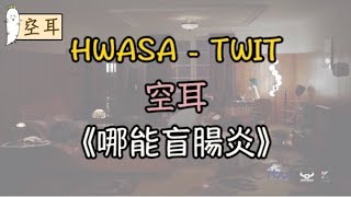 【空耳】HWASA  TWIT《哪能盲腸炎》 [upl. by Brubaker]