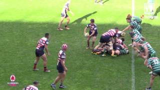 2016 IDRU 1st Grade Grand Final Highlights  Woonona Shamrocks Vs University [upl. by Yellas]