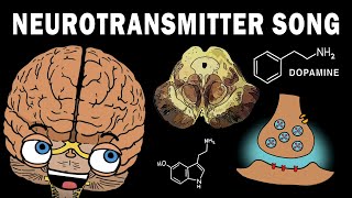 THE NEUROTRANSMITTER SONG [upl. by Areemas]