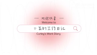 ENG SUB希林娜依高 Curley G Vlog209：低空飛行演唱會 工作日記 Low Altitude Flight Concert Work Diary｜20240403 [upl. by Figueroa]