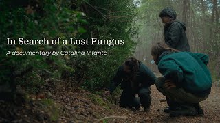 In Search of a Lost Fungus  Short film [upl. by Purpura]