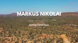 Markus Nikolai  Bushes Norman Cook Remix [upl. by Millar529]