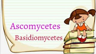 Ascomycetes basidiomycetes  tricks for NEET  tricks for 2020  Fungi tricks [upl. by Lyrahc82]