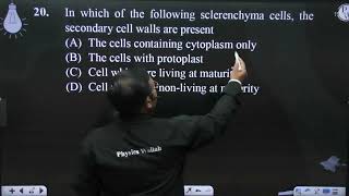 In which of the following sclerenchyma cells the secondary cell walls are present [upl. by Letsyrhc]