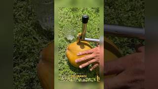 Cara simpel melubangi buah kelapa satisfying food fruit amazing shorts [upl. by Liagiba]