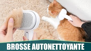 LA MEILLEURE BROSSE POUR POILS DE CHAT amp CHIEN  Aumuca [upl. by Alekehs780]