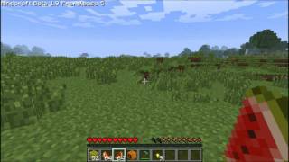 Minecraft 19  Howto Make Glistering Melon [upl. by Millard]