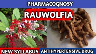 Rauwolfia Pharmacognosy New Syllabus  Pharmacognosy Crude Drug [upl. by Machutte]