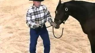 Horse Training with John Lyons  Pull Back Part 1 [upl. by Verla]