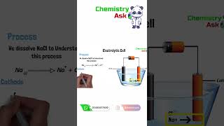 Electrolytic Cell  Cathode Reaction shorts youtubeshorts electrolytic [upl. by Niela848]