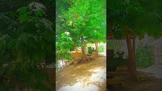 viral vlog vlogger popular nature natural beautiful [upl. by Toomay]