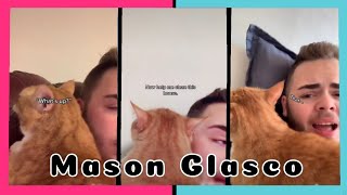 Cooter the Talking Kitty  Mason Glasco   TikTok Compilation [upl. by Hainahpez662]