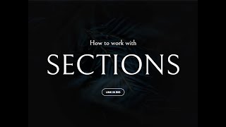 How to work with Sections  Editor X [upl. by Ssur]