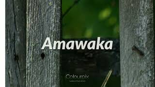 Amawaka Slowed amp Reverb slowedandreverb songs [upl. by Latsyrcal87]