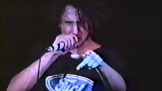 Rage Against The Machine Live Full Concert Berkeley 1992 [upl. by Olinad]