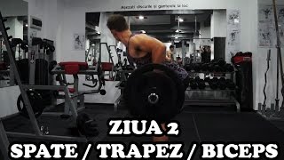 Spate  Trapez  Biceps  Ziua 2  Program incepatori [upl. by Saylor]