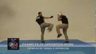 Krav Maga RED Research Evolution and Development [upl. by Harty790]