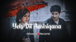 Yeh Dil Aashiqana  Slowed amp Reverb  Kumar Sanu Alka Yagnik slowreverb lofi kumarsanu [upl. by Norry965]