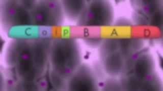 The Arabinose Operon [upl. by Nesral809]