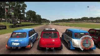 Dirt Rally WIn amp Lose Mini Cooper Rally [upl. by Azer]