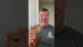 Real FX Baby T rex Jurassic Park Puppet Review [upl. by Ellenrahs]