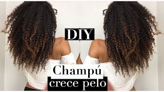 Champú CRECE PELO casero DIY  retopelucón 712 semana [upl. by Butta694]