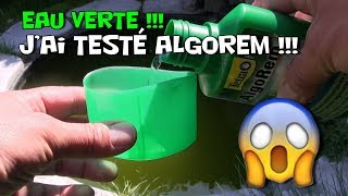 Algorem  Jai testé  estil dangereux pour les poissons  produit contre leau verte de bassin [upl. by Kliman494]