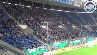 DFBPokal TSG Hoffenheim  Energie Cottbus 1314 [upl. by Hackney]