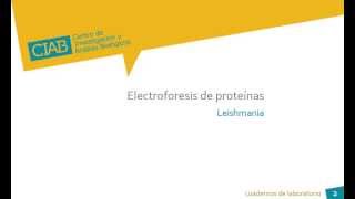 Electroforesis de proteínas Leishmania CIAB wwwciabes [upl. by Sheedy]