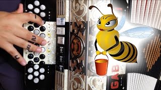 Abeja reyna acordeon Con adornos [upl. by Llennahs]