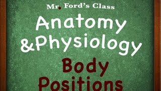 Introduction To Anatomy Physiology Body Positions 0106 [upl. by Aciret966]