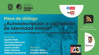 ¿Autoadscripción o usurpación de identidad étnica Candidaturas indígenas en procesos electorales [upl. by Ahsinor]