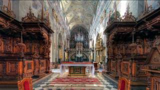 Leżajsk  XVII ct pipe organ  J S Bach Fugue g minor The Great BWV 542 [upl. by Allenrad]