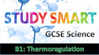 B1 Homeostasis Temperature Control EDEXCEL [upl. by Enaj8]