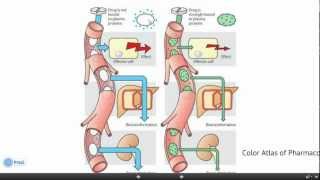 Drug interactions  التفاعلات الدوائية الحلقة 3 [upl. by Anitsim]