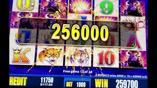 3 Majors Plus A Huge Buffalo Deluxe Jackpot  1 Epic Day handpay lightninglink [upl. by Windy]