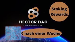 Hector Dao Staking  Das ist mein Verdienst nach nur einer Woche [upl. by Nozicka]