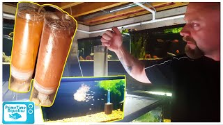 How to Set Up a Baby Brine Shrimp Hatchery [upl. by Geraldina]