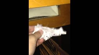 Moller Pipe Organ  Torn Leather [upl. by Lewis]