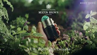 NEW Wild Mint amp Lavandin Collection  Molton Brown [upl. by Otilia458]