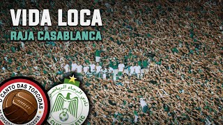 Vida Louca  Somos Curva Sud  Nova música da torcida do Raja Casablanca Legendado [upl. by Idalina]