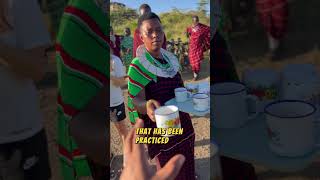 Maasai Tribe Sacred Cow Blood Ritual [upl. by Weathers]