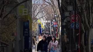 Fashion Street Omotesando Japan [upl. by Yelekalb]