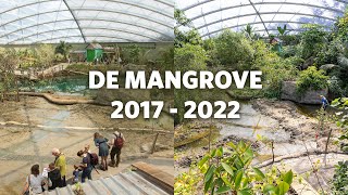 Mangrove 5 jaar oud terugblik 👀 [upl. by Mosnar893]